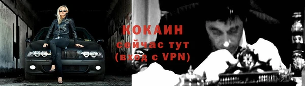 тгк Лиски