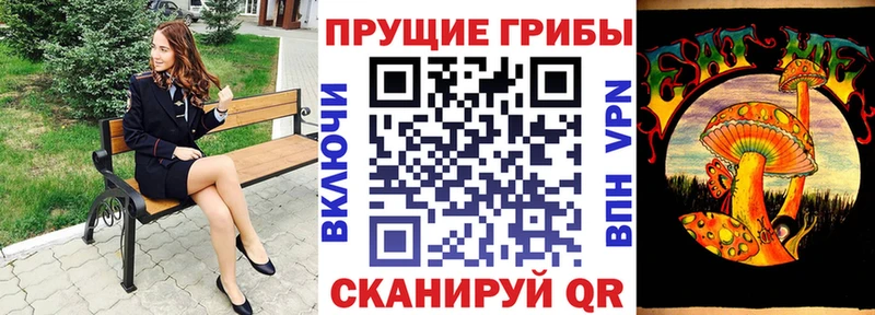 где можно купить   Керчь  Галлюциногенные грибы Psilocybe 
